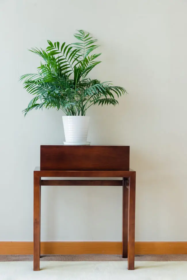 Console Table CN 01